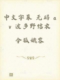中文字幕 无码 av 波多野结衣